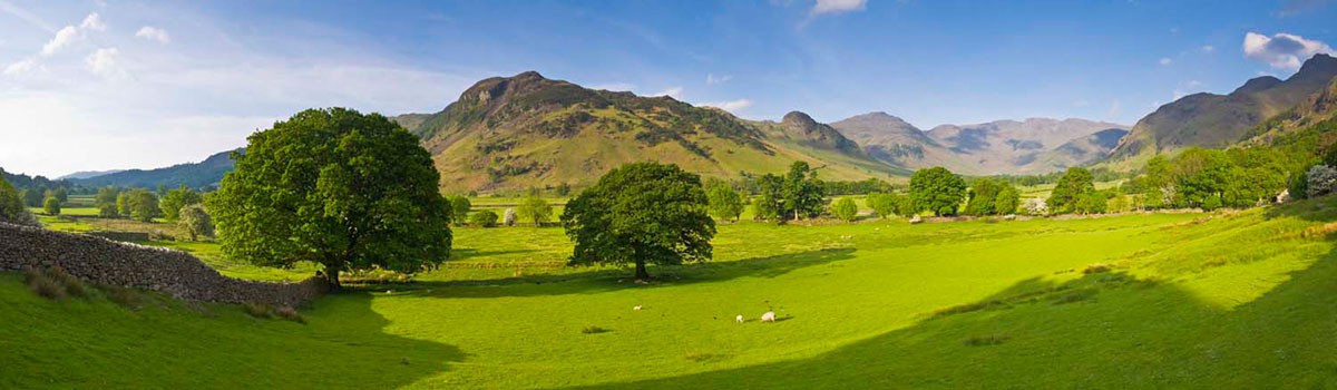 Group visits Minibus Hire Group visits Minibus Hire