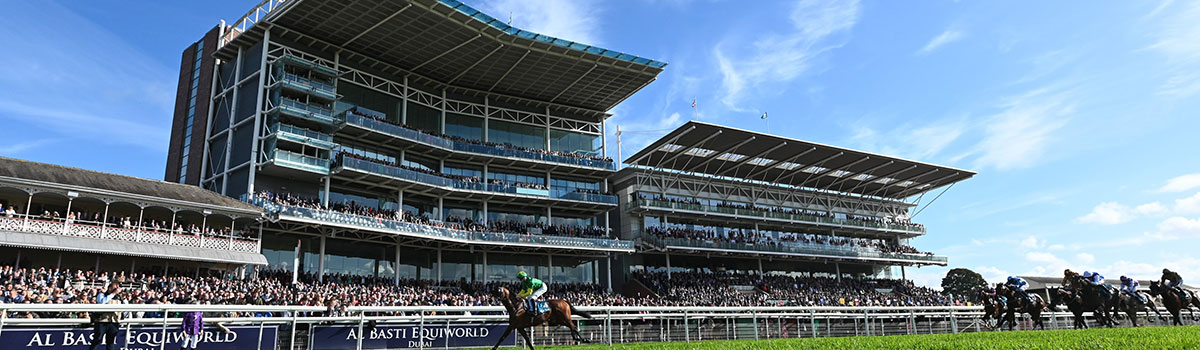 Sporting events Minibus Hire Sporting events Minibus Hire